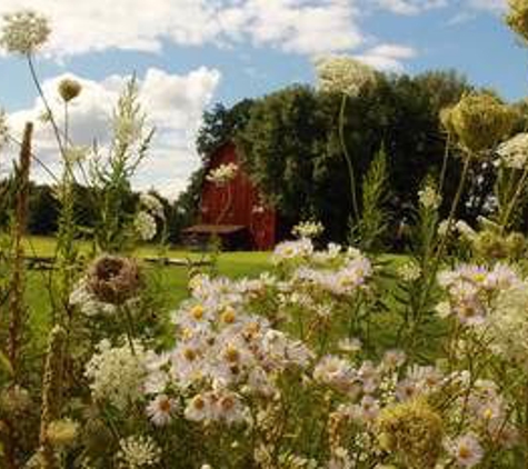 Oz's Homestay Bed and Breakfasts - Shinglehouse, PA