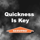 SERVPRO of Hollywood/Hallandale/Aventura - House Cleaning
