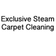 Exclusive Steam Carpet Cleaning