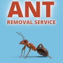 Fox Pest Control Syracuse