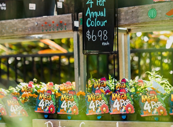 Eden at Byron - Byron Bay, NSW