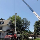 Thate's Tree Service