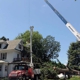 Thate's Tree Service