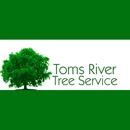 Toms River Tree Service - Tree Service