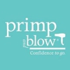 Primp and Blow North Scottsdale gallery