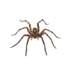 Farmers Pest Control gallery