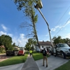 Fricks Tree Service gallery