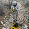 A.S.A.P. Bee Removal gallery