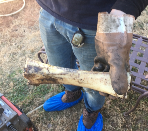 Nowell & Sons Plumbing LLC - Oklahoma City, OK. We were able to retrieve the bone out of sewer line.