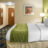 Comfort Inn gallery