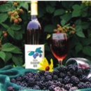 Hill Top Berry Farm & Winery - Farms