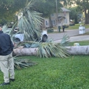 Breidenbach Tree Service of Central Florida - Tree Service