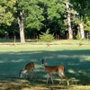 Cobb RV Park gallery