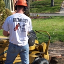 Clean Cut Tree Service - Tree Service
