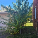HS Lawn Care Service - Landscaping & Lawn Services