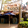 Typhoon Tilly's gallery