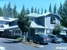 Positive Chiropractic & Wellness - Chiropractors & Chiropractic Services