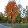 Indian Lakes Campground gallery