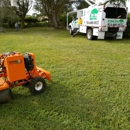All About Trees Tree Service - Tree Service