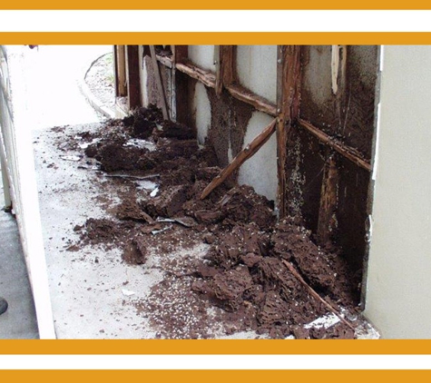 POD's Pest Control - Garbutt, QLD. Servicing The Townsville Region