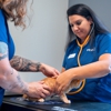 VCA Veterinary Hospital of Leon Springs gallery
