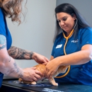 VCA Veterinary Hospital of Leon Springs - Veterinarians