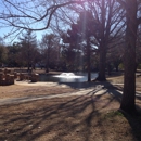 Curtis Park Pool - Parks