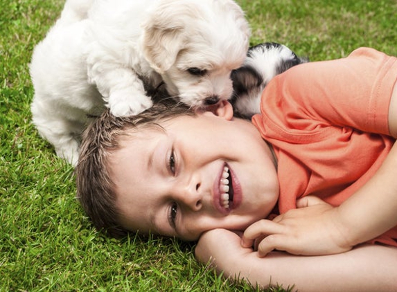 Velvet Green Organic Lawn Care - Wakefield, MA