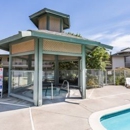 Days Inn by Wyndham Novato/San Francisco - Hotels