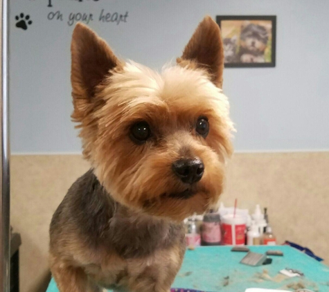 Raven's Pampered Pets Salon - Muscatine, IA