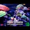 Aqua Dreams gallery