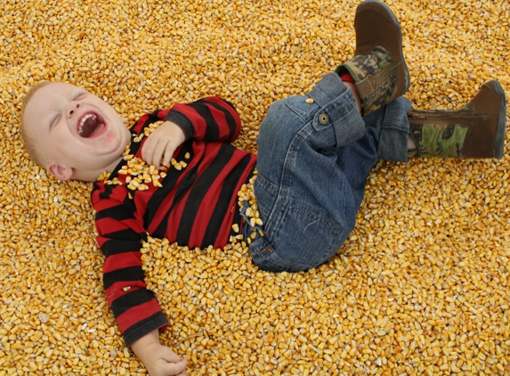 Sissons Pumpkin Patch - Girard, PA. Shelled Corn Box