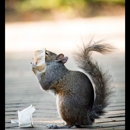 Turbo Pest Solutions - Pest Control Equipment & Supplies