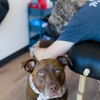 Outshine Physical Therapy and Fitness gallery