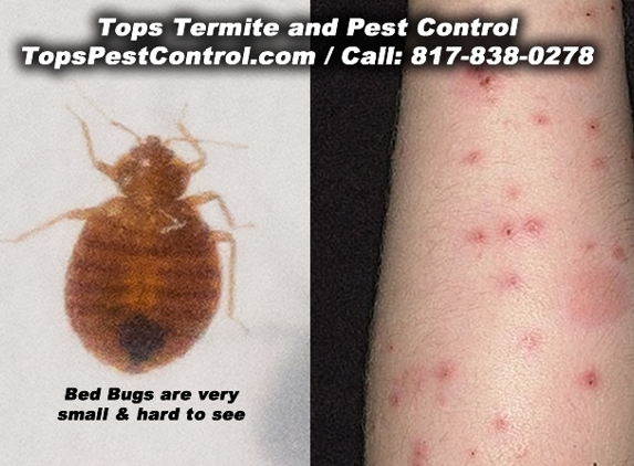 Tops Termite & Pest Control - Fort Worth, TX