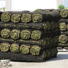 A & N Sod Supply Inc