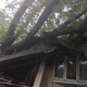 Ahlers Tree Service Inc