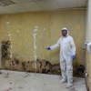 Pro Mold Solutions gallery