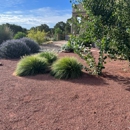 Coyote Landscape Services - Gardeners