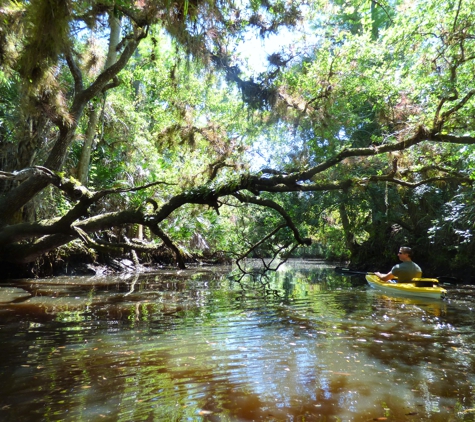 Eco Paddlezportz - Estero, FL