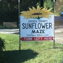 Sussex County Sunflower Maze - Tourist Information & Attractions