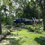 A Cut Above Tree Service