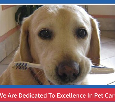 Kempsey Veterinary Clinic - Kempsey, NSW. We Are Dedicated To Excellence In Pet Care