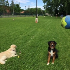 University City Dog Park