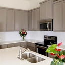 Ticino - Architectural Countertops - Cleaning Contractors