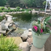 Backyard Oasis Pond & Garden Center gallery