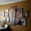 Picture Hanging Professionals, LLC gallery