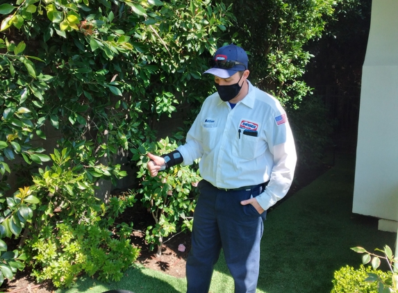 Dewey Pest & Termite Control - Windsor Hills, CA