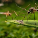 J Z Nuisance Control - Pest Control Equipment & Supplies