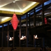 Cielo gallery